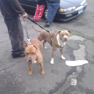 Meet your Posher, Emmanuel